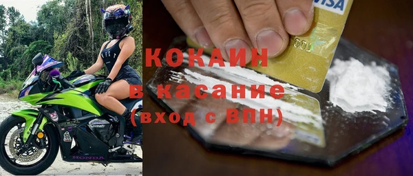 стаф Богородск