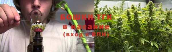 стаф Богородск